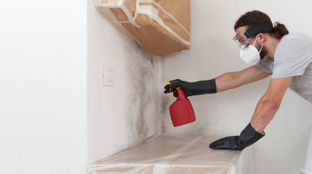 Professional Mold Inspection And Testing technician working in Elmira, MI